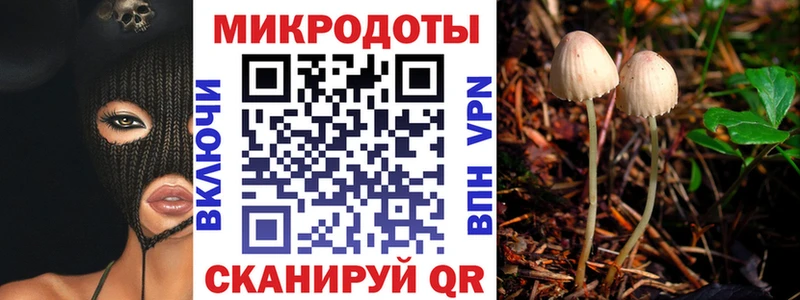 Галлюциногенные грибы ЛСД  Шарья 